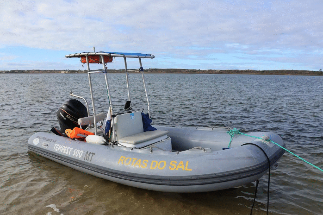 barco rapido para aluguer