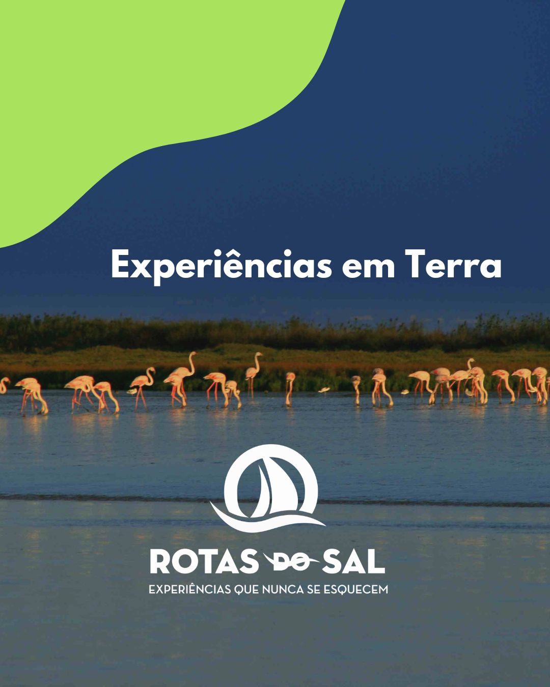 experiencias em terra em Setubal