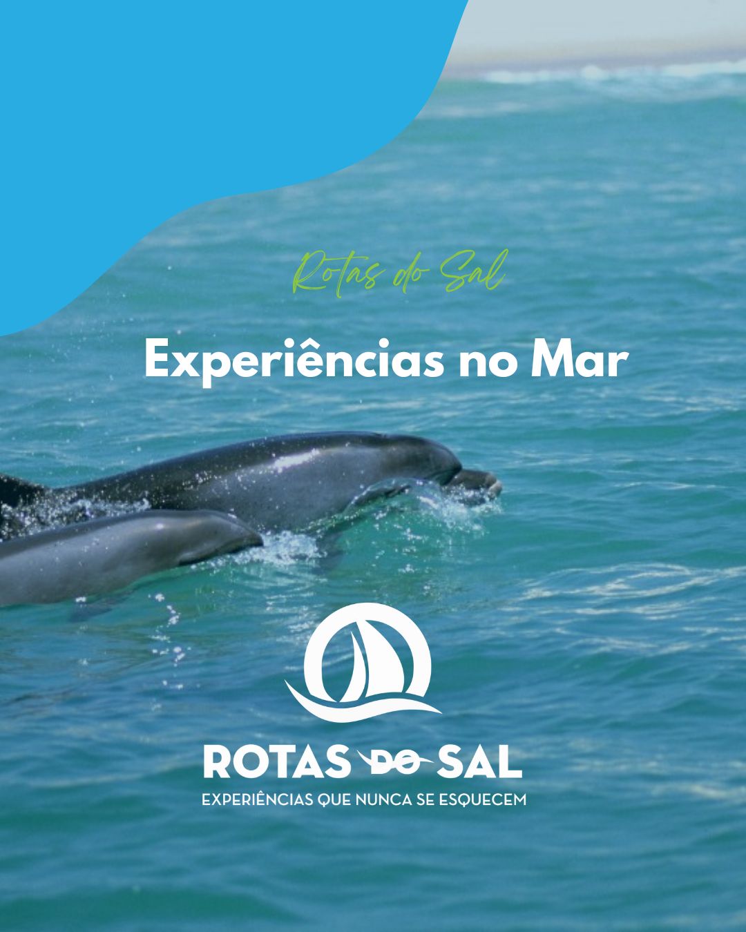 experiencias no mar